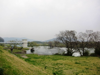 お花見_b0122805_1740291.jpg