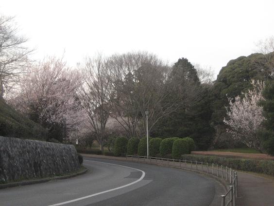 d0009105_804212.jpg
