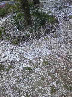 c0097806_23273399.jpg