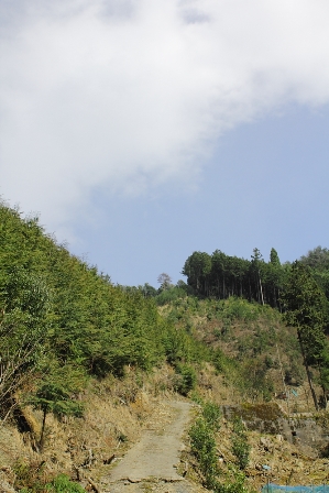 e0032609_2015339.jpg