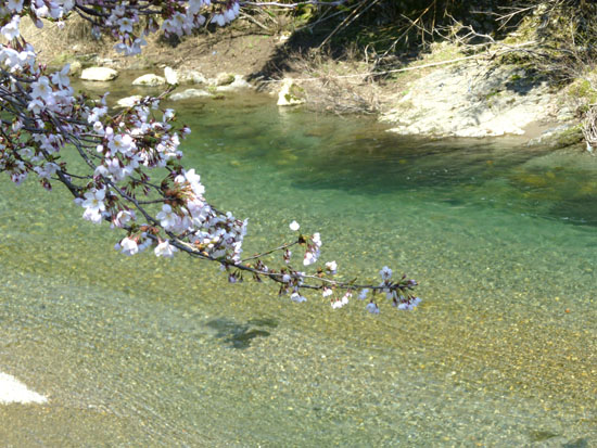 美山の春_e0048413_20213394.jpg