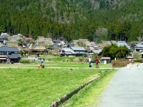 美山の春_e0048413_2022990.jpg