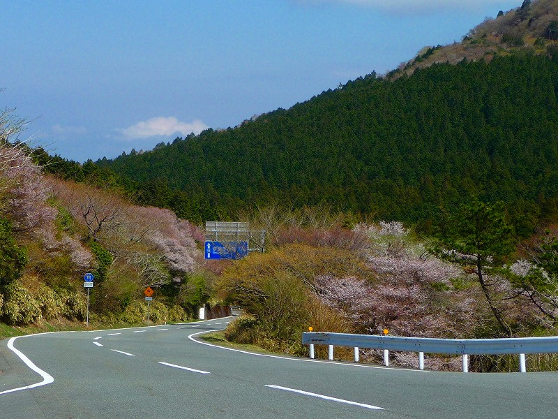 f0182513_2020246.jpg