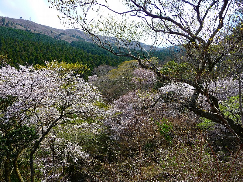 f0182513_205151100.jpg