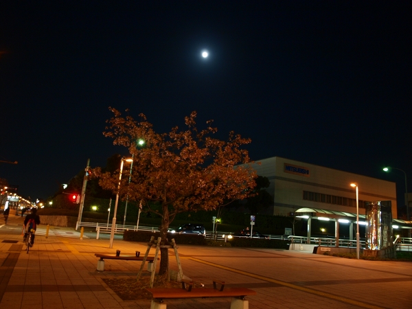 d0114517_1139958.jpg