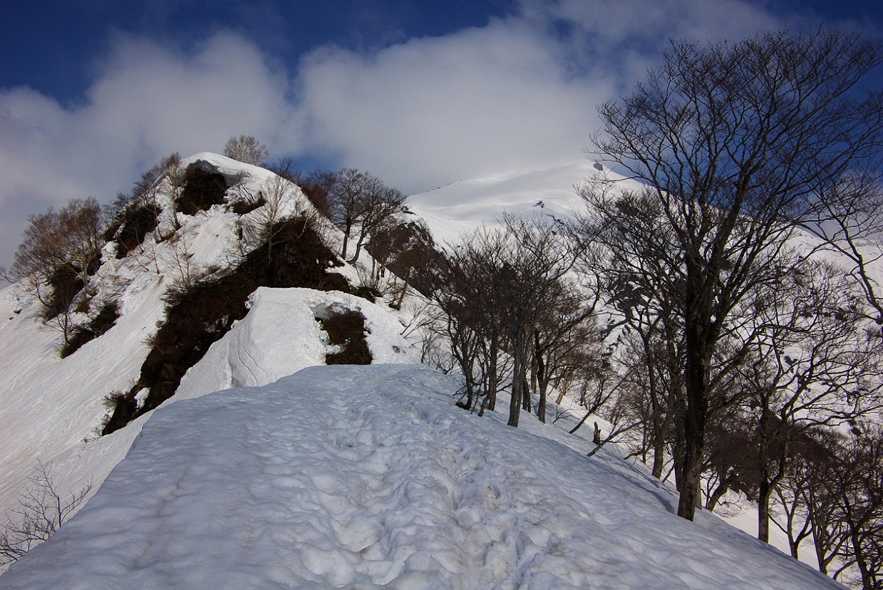 b0062024_826022.jpg