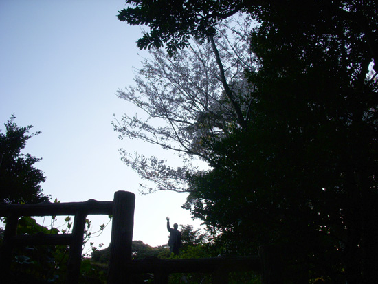 a0119827_1695447.jpg