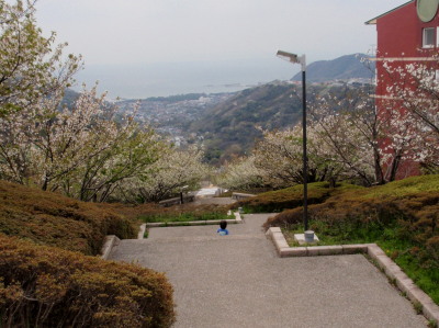 c0097838_13554794.jpg