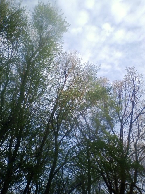 a0238739_0435581.jpg