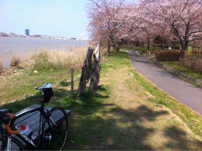 桜サイクリング_f0184839_19341696.jpg