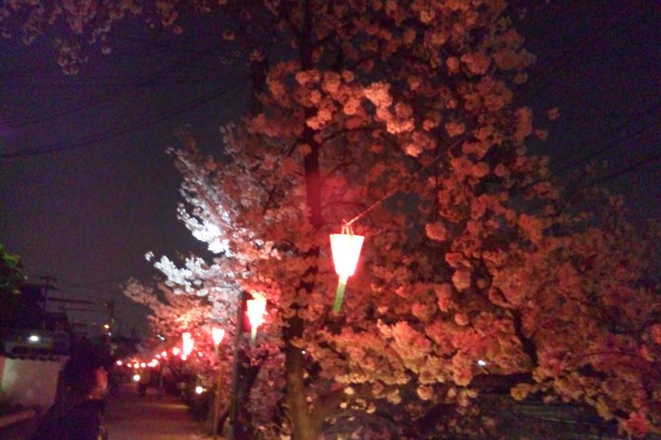 f0154041_8521917.jpg