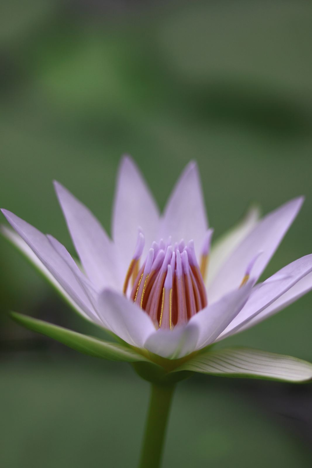 Bird & Flower - 掛川花鳥園_a0148747_741370.jpg