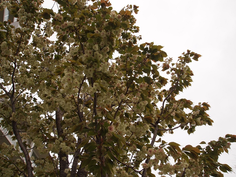 f0224347_104295.jpg