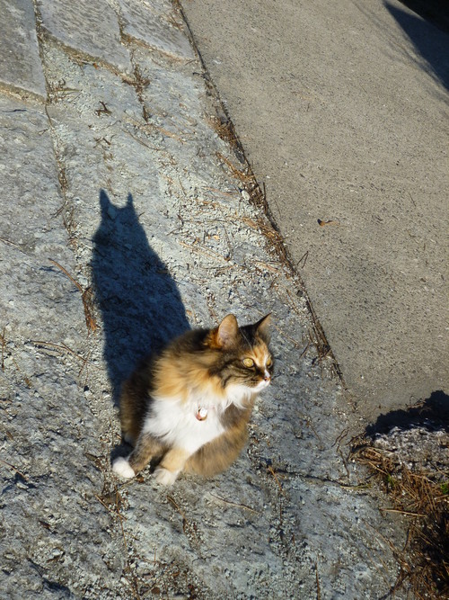 b0238249_2011155.jpg
