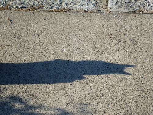 b0238249_20285834.jpg