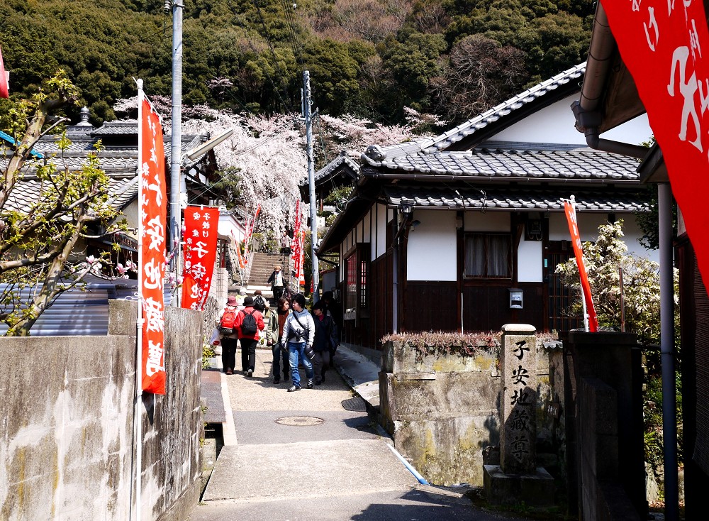 　　しだれ桜が咲く地福寺へ　１２年前の撮影です　　２０２４-０４-１１　００：００　_b0093754_22432998.jpg