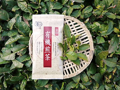 菊池水源茶_a0254656_10355315.jpg