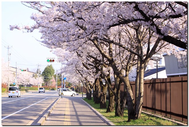 泉～寺町～平和町～大乗寺山～犀川緑地_a0240761_15224884.jpg