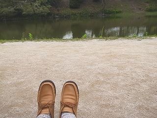 大濠公園のネコ_f0121167_2352254.jpg