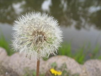 大濠公園のネコ_f0121167_23523416.jpg