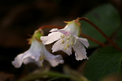 e0045768_22543672.jpg