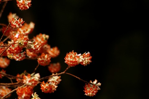 e0045768_2257370.jpg