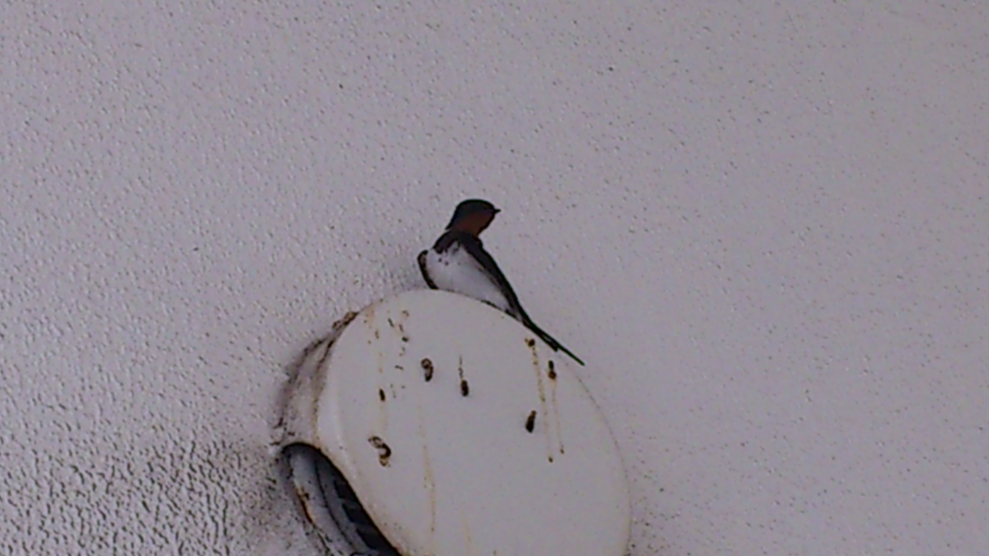 a0079474_9205489.jpg