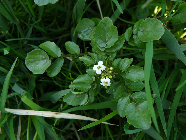 d0019074_741063.jpg