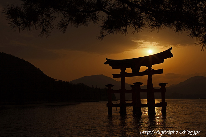 夕日・宮島_e0133774_1834248.jpg