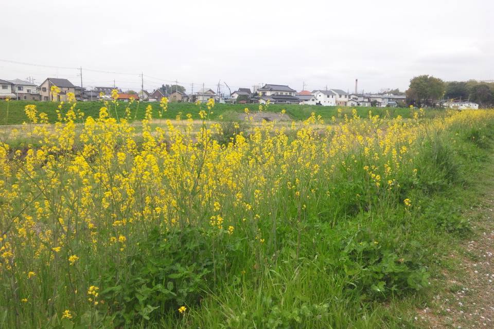 c0215176_11322929.jpg