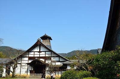 京都　醍醐寺　醍醐の桜　2012_c0229483_044402.jpg