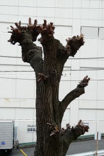 2012年4月20日 ウイークエンドハウス_b0098584_17172775.jpg