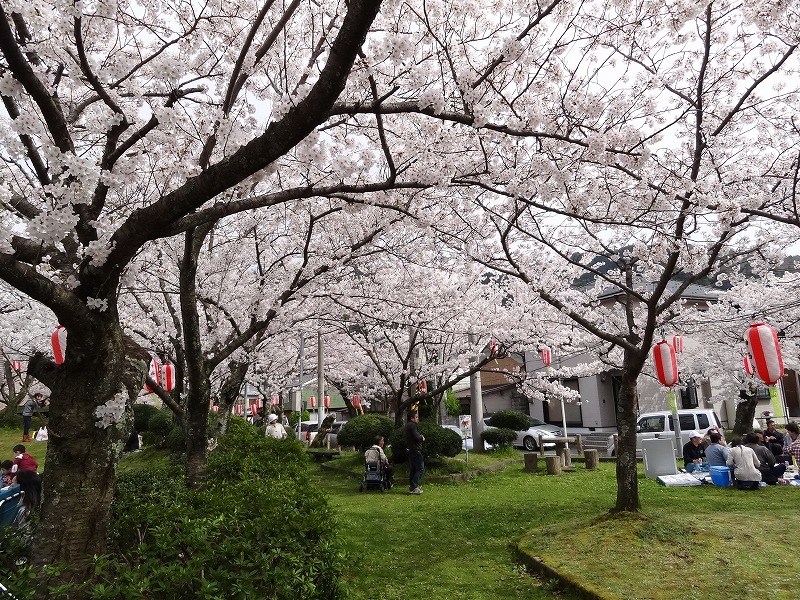 sakura2012.in.gokinjo_e0123992_18213475.jpg