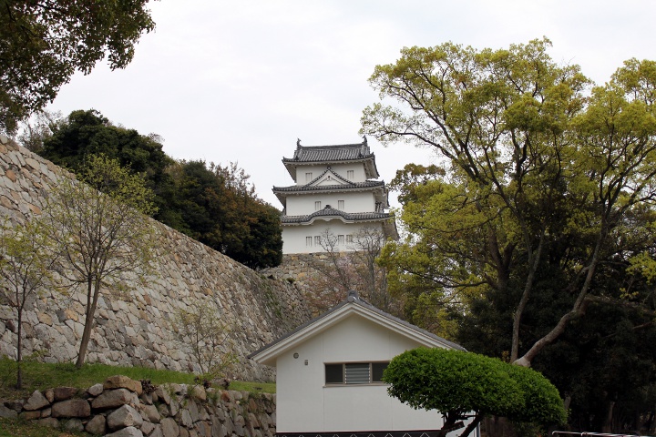 明石公園へお花見散歩_d0055793_14223220.jpg