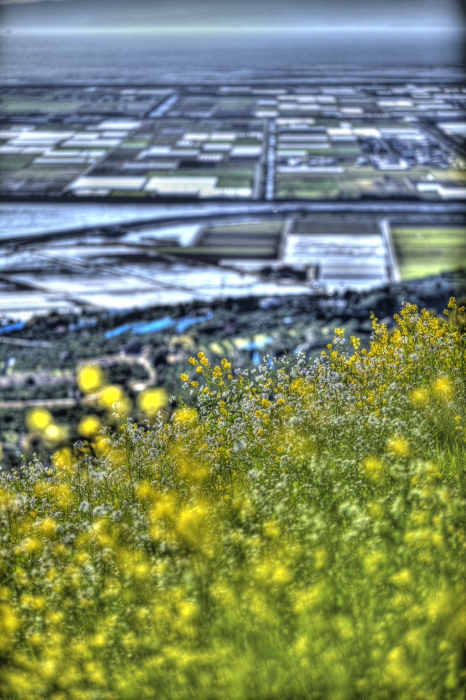 HDR紀行 in 天空の花畑_e0135098_1304396.jpg