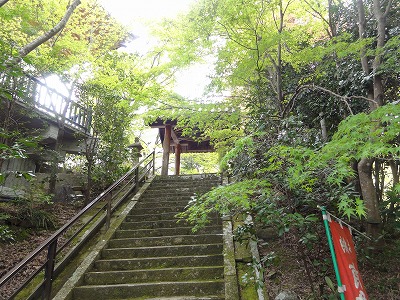 c0125501_19454561.jpg