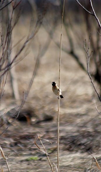 c0155902_21374217.jpg