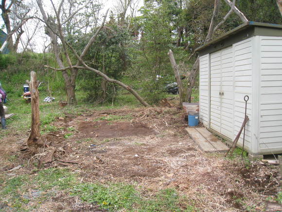 e0270403_1736784.jpg
