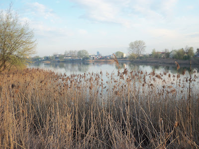 f0154805_21195763.jpg
