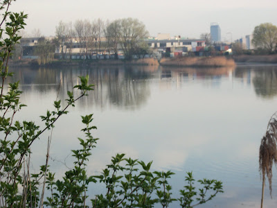 f0154805_2120918.jpg