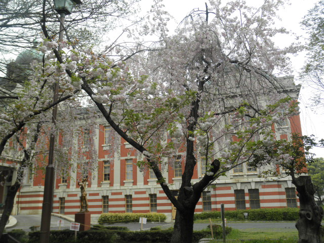 c0152507_1065344.jpg