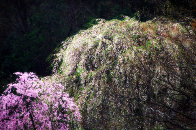a0263109_10232194.jpg