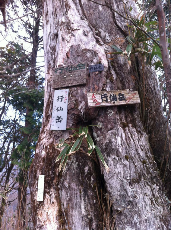 12.04.17(火) 大峰バイアスロン_a0062810_1437111.jpg