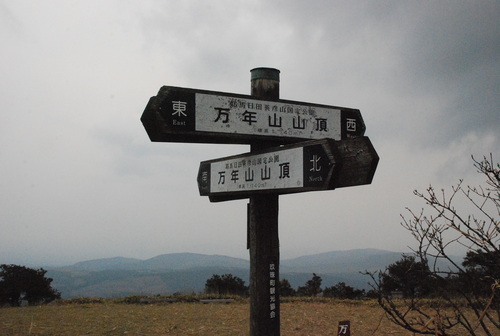 d0174710_0184643.jpg