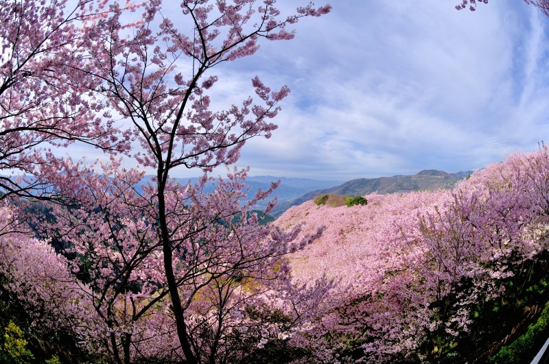e0217511_044777.jpg