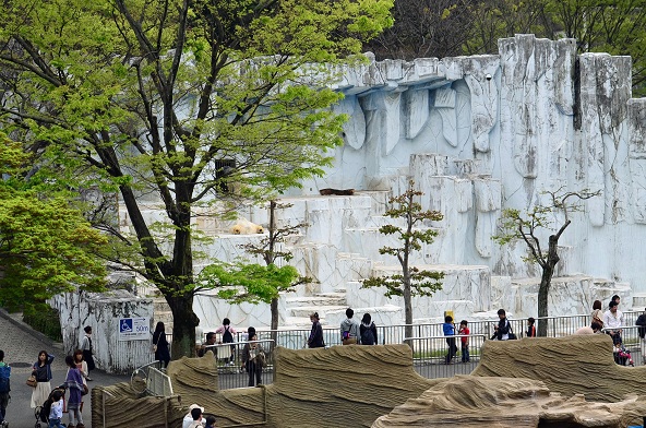 名古屋・東山動物園の静かなドラマ　～　サスカッチのストーキングと逃げるオーロラ_a0151913_22132940.jpg