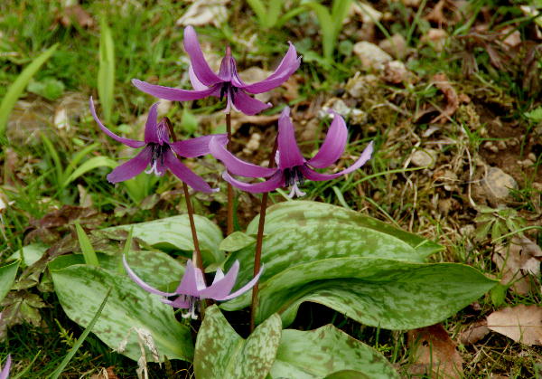 f0133013_84492.jpg