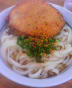 今日のうどん_b0005814_1820651.jpg