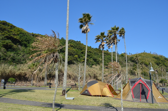 a0201316_2364277.jpg
