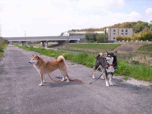 b0225620_23231450.jpg
